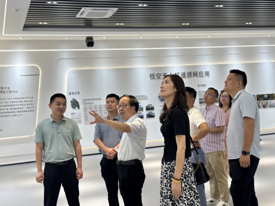 图片31.png 图片31.png